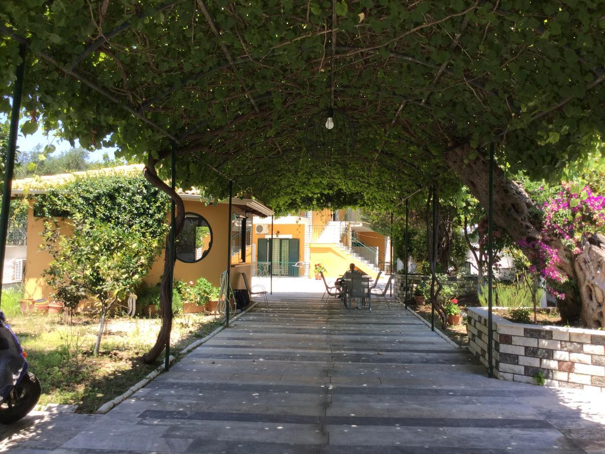Vasso Apartment Parga